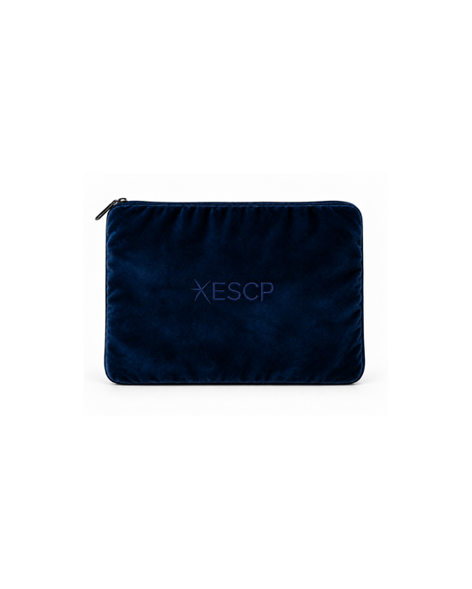 VELVET LAPTOP CASE