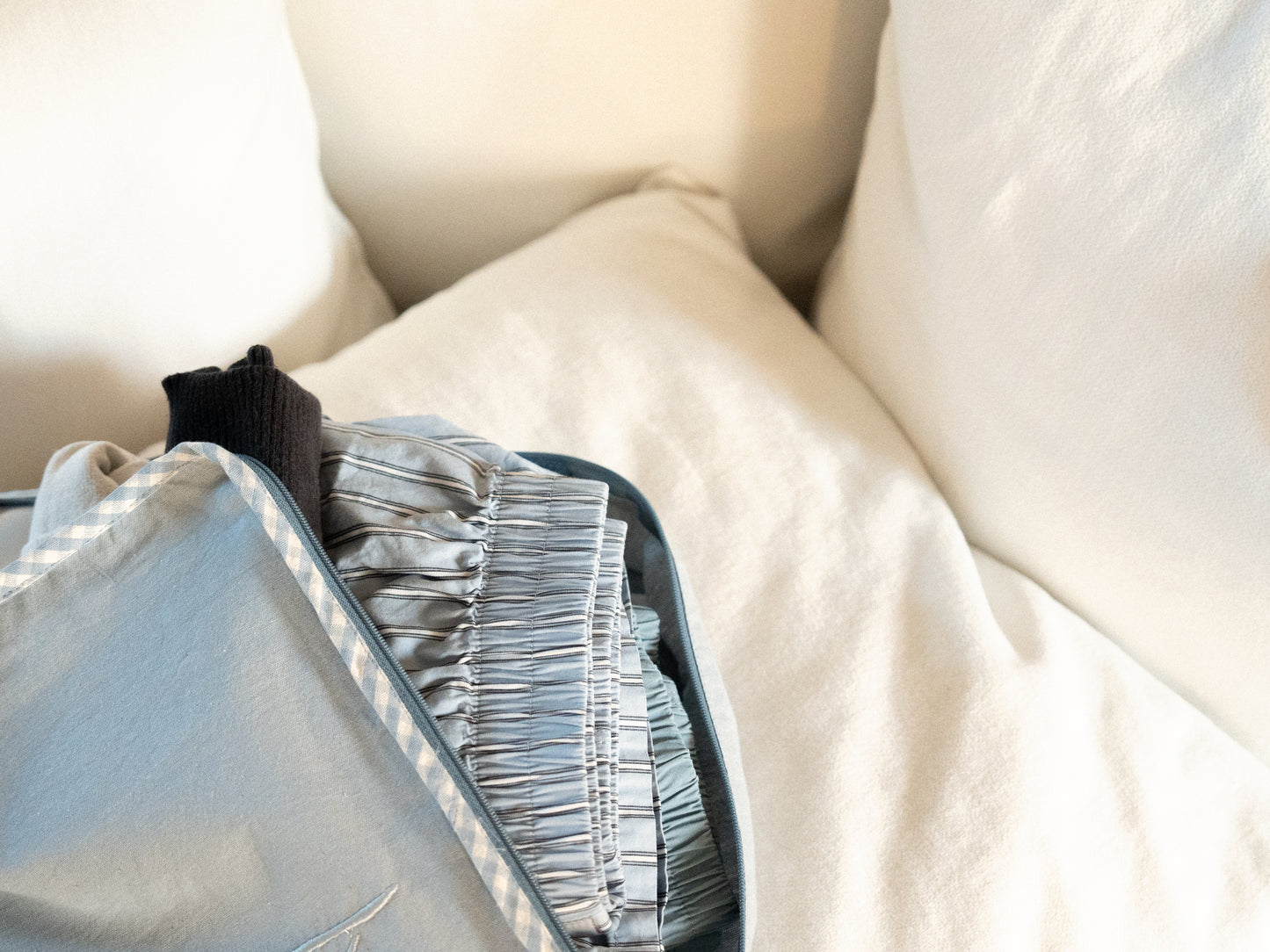 TRAVEL ORGANIZER